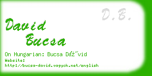 david bucsa business card